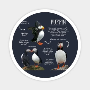 Animal Facts - Puffin Magnet